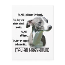 Italian Greyhound FAQ postcards