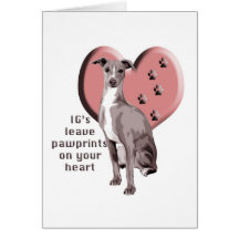 ITALIAN GREYHOUND GREETING CARD