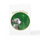 Italian Greyhound Peace