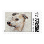 Italian Greyhound Stamp