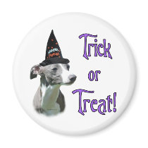 Italian Greyhound Trick magnets