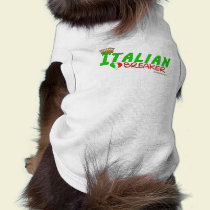 Italian Heart Breaker pet clothing by malibuitalian Italian Heart Breaker pet clothing