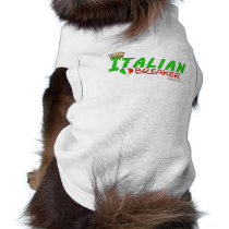 Italian Heart Breaker pet clothing by malibuitalian Italian Heart Breaker pet clothing