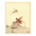 ITALIAN LOCUSTS - Insect Book Illustration posters