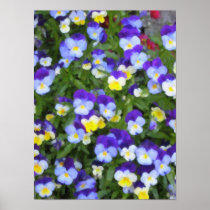 Italian Pansies Poster posters