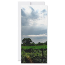 Italian Sky Custom Rack Card