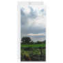 Italian Sky Custom Rack Card