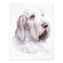 Italian Spinone Italiano invitations
