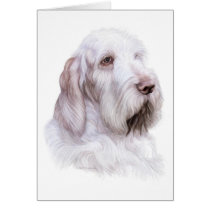 Italian Spinone Italiano cards