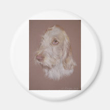 Italian Spinone Magnet
