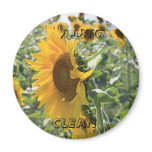 Italian Sunflower magnets