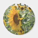 Italian Sunflower Magnets