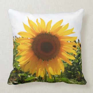 Italian Sunflower mojo_throwpillow