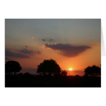 italian_sunset_2 cards