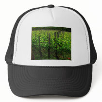 ITALIAN VINEYARD TUSCANY hats by foreverspring ITALIAN VINEYARD TUSCANY hats