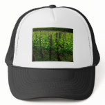 ITALIAN VINEYARD TUSCANY hats