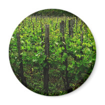 ITALIAN VINEYARD TUSCANY FRIDGE MAGNET