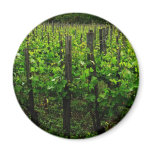 ITALIAN VINEYARD TUSCANY magnets