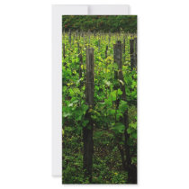 ITALIAN VINEYARD TUSCANY CUSTOMIZED RACK CARD