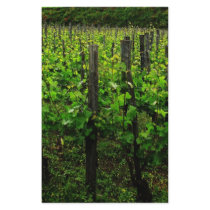 ITALIAN VINEYARD TUSCANY stationery by foreverspring ITALIAN VINEYARD TUSCANY stationery