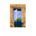 Italian Window Venice, Italy t-shirts by BellaRossini Italian Window Venice, Italy t-shirts