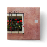 Italy, Asciano, Window Boxes with Fresh Spring