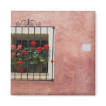 Italy, Asciano, Window Boxes with Fresh Spring