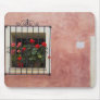 Italy, Asciano, Window Boxes with Fresh Spring