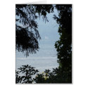 Italy cards by Factfanatic Italy cards