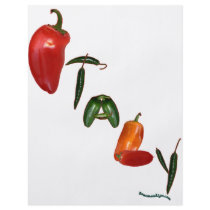 Italy Chili Peppers flyers by chili_state Italy Chili Peppers flyers