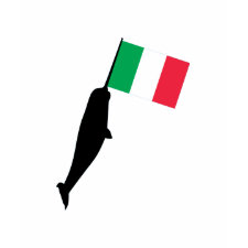 italy Narwhal shirt