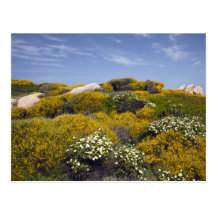 Italy, Sardinia, Santa Teresa Gallura. Capo 3 Post Cards