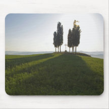 Italy, Tuscany, Cypress Trees in Tuscany with Mouse Pads