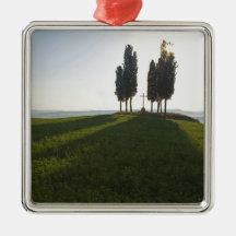 Italy, Tuscany, Cypress Trees in Tuscany with Christmas Ornaments