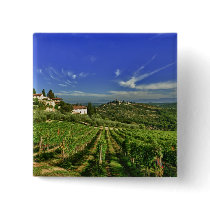 Italy, Tuscany, Greve. The vineyards of Castello Buttons