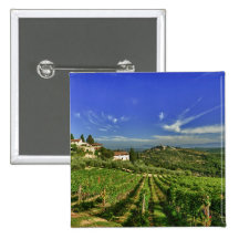 Italy, Tuscany, Greve. The vineyards of Castello Buttons