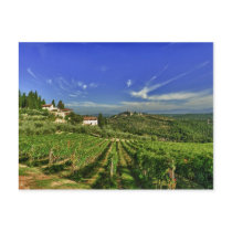 Italy, Tuscany, Greve. The vineyards of Castello Post Card
