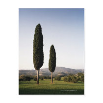 Italy,Tuscany,Val d'Orcia Post Cards