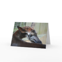 "Itchy Okapi" Greeting Card
