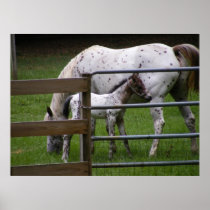 It's a Big World Print