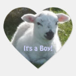 It's a Boy! - Baby Spring Lamb stickers
