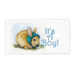 It's a Boy Shipping Labels