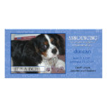 It's a Boy - Pet Photo Card