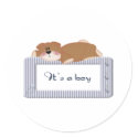 its a boy stickers