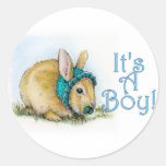 It's a Boy Sticker