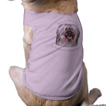 It's a Briard, a French Sheepdog pet clothing