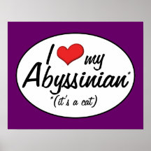 It's a Cat! I Love My Abyssinian Print