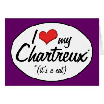 It's a Cat! I Love My Chartreux Greeting Cards