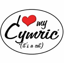 It's a Cat! I Love My Cymric Photo Sculptures