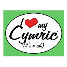 It's a Cat! I Love My Cymric Post Cards